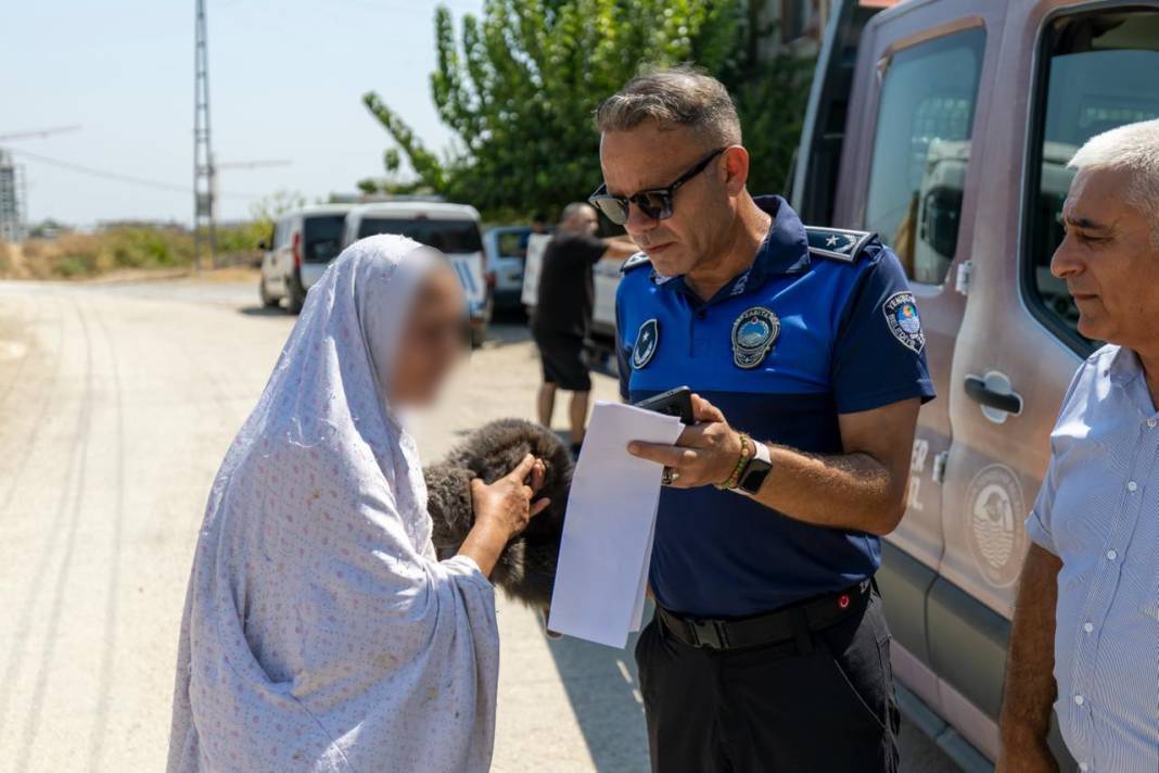 'Çöp ev' ihbarına giden ekipler adreste 100 kedi buldu 2